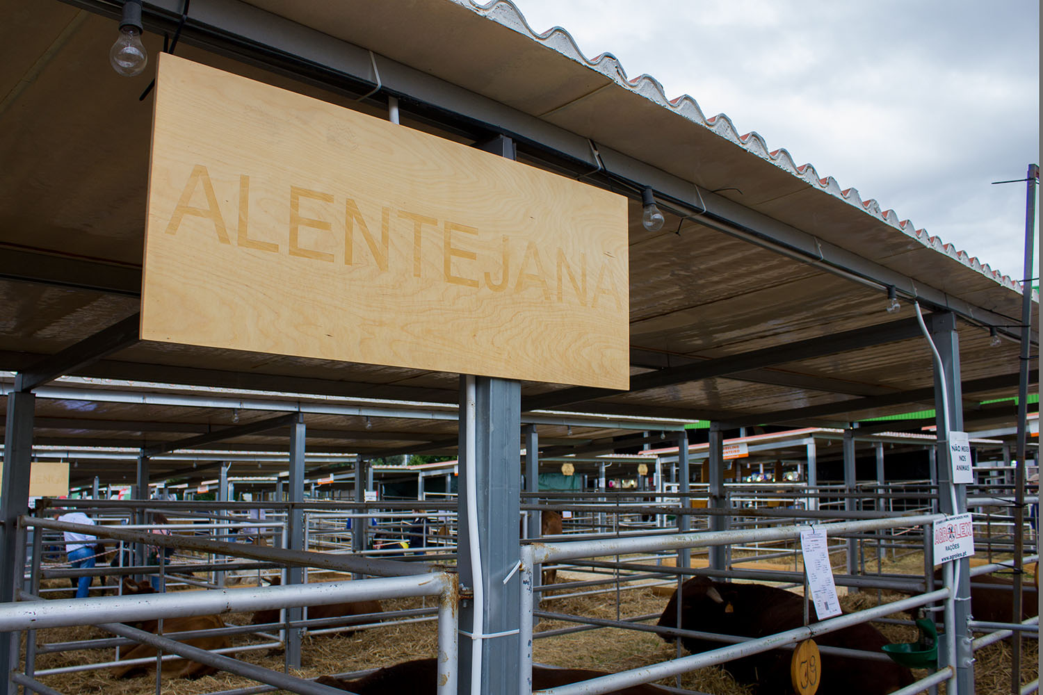Carnalentejana na Feira Nacional de Agricultura 2018