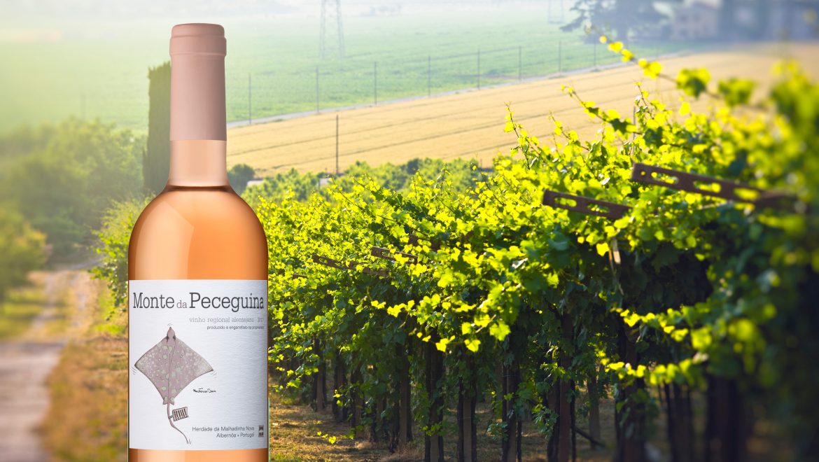 Prova de Vinhos na Loja Carnalentejana do Lumiar